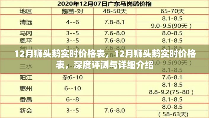 最新12月獅頭鵝實時價格表及深度評測與詳細介紹