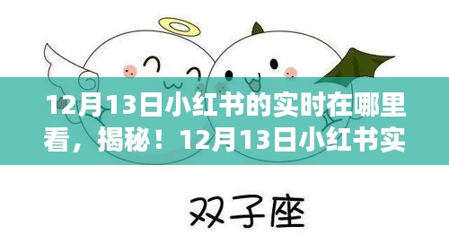 揭秘新功能，如何查看12月13日小紅書實時動態(tài)，科技魅力重塑生活體驗！