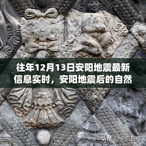 追尋內(nèi)心平靜的奇妙旅程，安陽地震后的自然探索與實時信息解讀