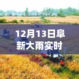 阜新市12月13日大雨事件，實(shí)時(shí)播報(bào)與觀點(diǎn)探析及立場(chǎng)闡述