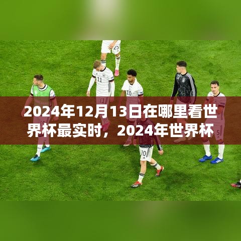 2024世界杯盛宴實時觀看指南，最佳觀賽地點揭秘