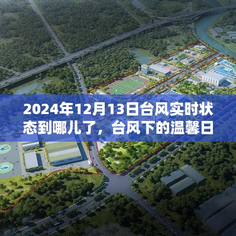 臺風下的溫馨日常與奇妙經(jīng)歷，2024年臺風實時追蹤