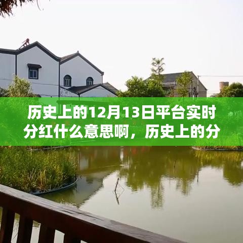 歷史上的分紅策略解析，實(shí)時(shí)分紅的概念與操作指南