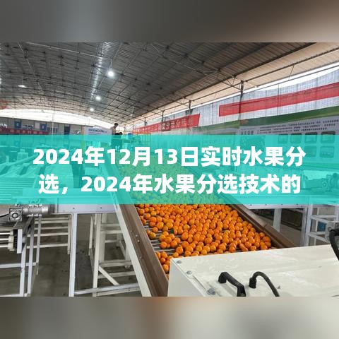 2024年水果分選技術(shù)革新之旅，實(shí)時(shí)分選進(jìn)展與影響