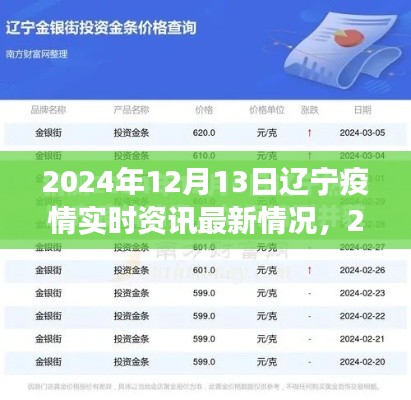 2024年12月13日遼寧疫情最新實(shí)時(shí)資訊，防控進(jìn)展與應(yīng)對(duì)策略聚焦