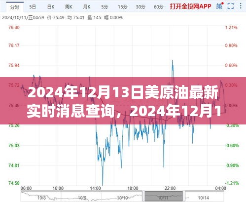 2024年12月13日美原油實時消息查詢指南