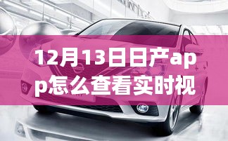 日產(chǎn)app實時視頻查看指南，多方觀點與個人立場解析（12月13日版）