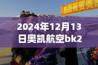 奧凱航空BK2821航班實(shí)時(shí)動(dòng)態(tài)查詢指南，初學(xué)者快速掌握指南（日期，2024年12月13日）