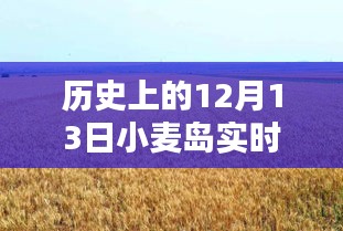 小麥島，12月13日的溫馨時光與實時記憶碎片