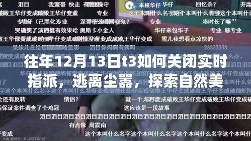 往年12月13日T3關(guān)閉實時指派，心靈之旅，逃離塵囂探索自然美景之道