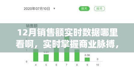 實(shí)時(shí)掌握商業(yè)脈搏，12月銷售額數(shù)據(jù)平臺(tái)深度評(píng)測(cè)與實(shí)時(shí)數(shù)據(jù)查看指南