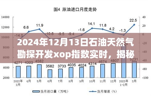 揭秘特色石油天然氣勘探開發(fā)資訊小店的寶藏，XOP指數(shù)實時風采展示（2024年12月13日）