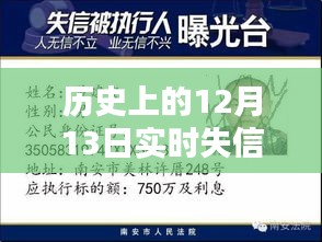 12月13日失信執(zhí)行人實時查詢指南，歷史查詢詳解與初學者指引