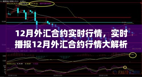 洞悉市場走勢，揭秘12月外匯合約實時行情與投資機遇