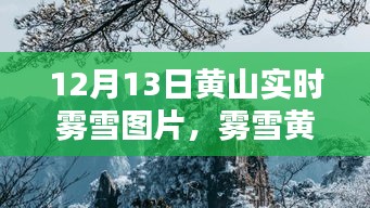 霧雪黃山，仙境再現(xiàn)，實(shí)時(shí)美景圖片分享