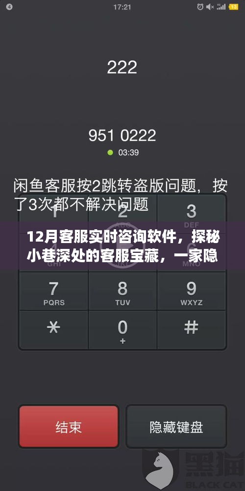 探秘隱藏版客服寶藏，十二月實(shí)時(shí)咨詢軟件奇妙之旅