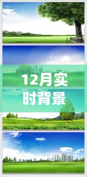 探索自然秘境，12月實(shí)時(shí)背景摳圖素材帶你踏上寧?kù)o之旅