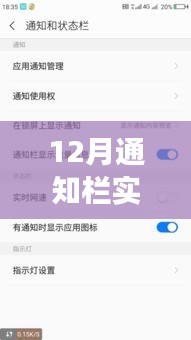 解決12月通知欄實(shí)時(shí)網(wǎng)速顯示無(wú)變化問(wèn)題，實(shí)用指南及初學(xué)者進(jìn)階用戶必看攻略