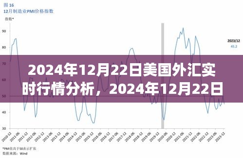 獨家解析，2024年12月22日美國外匯實時行情深度解讀與市場走勢預(yù)測