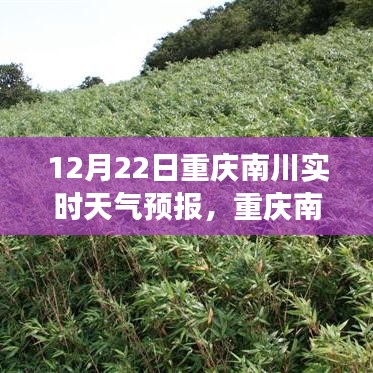 重慶南川天氣預報之旅，變化中的學習，鑄就自信與力量的未來