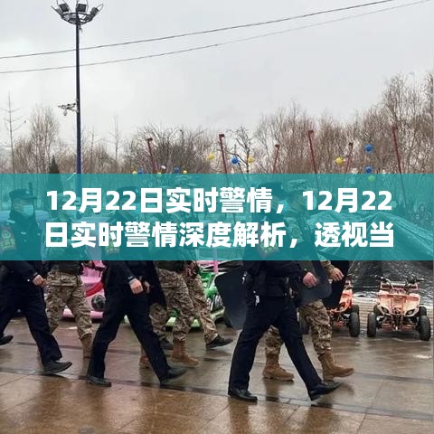 12月22日警情透視，實(shí)時(shí)治安動(dòng)態(tài)與深度影響解析