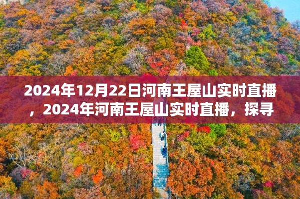 河南王屋山自然秘境探尋，多元觀點(diǎn)的實(shí)時直播之旅（2024年12月22日）