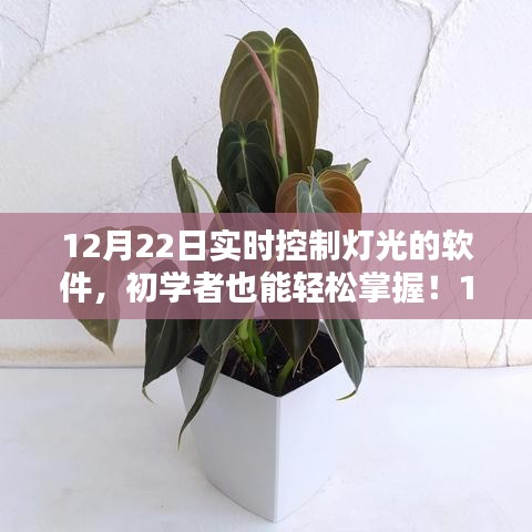 初學(xué)者也能輕松掌握的實時控制燈光軟件操作指南