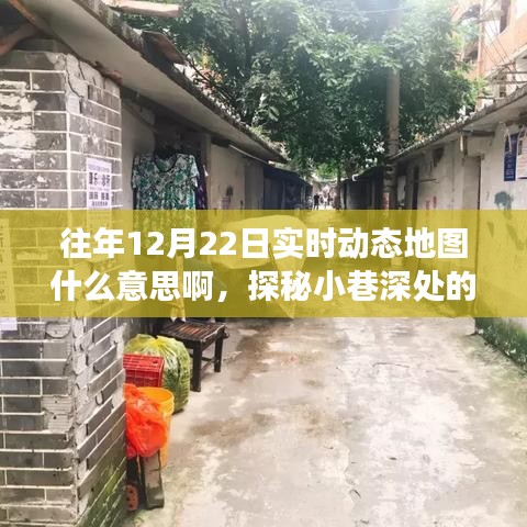 探秘時光小巷，一家特色小店的實時動態(tài)地圖故事與驚喜發(fā)現