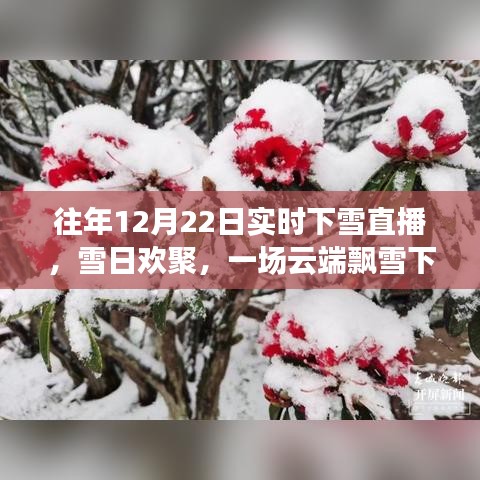 云端飄雪下的歡聚時光，12月22日實時下雪直播日常