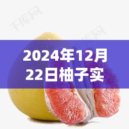 2024年柚子產(chǎn)品深入評(píng)測與實(shí)時(shí)介紹圖片體驗(yàn)報(bào)告