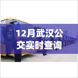 武漢公交326與自然美景之旅，寧靜與喜悅的探尋