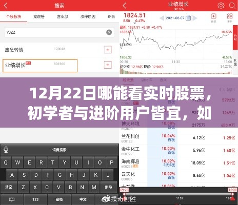 12月22日實(shí)時(shí)股票行情查看指南，適合初學(xué)者與進(jìn)階用戶的詳細(xì)步驟