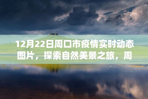 周口市疫情實時動態(tài)圖片，探索自然美景與微笑力量的寧靜角落之旅