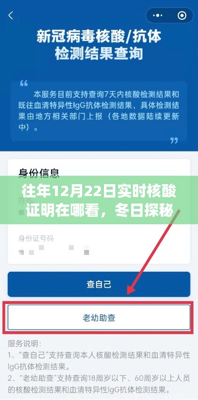 冬日探秘，尋找往年12月22日核酸證明的小故事與實(shí)時查詢攻略