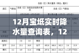 12月寶坻實(shí)時(shí)降水量查詢表，氣象數(shù)據(jù)與天氣分析概覽