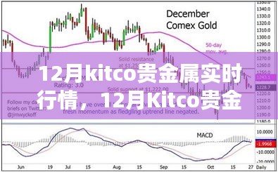 12月Kitco貴金屬實(shí)時(shí)行情深度解析與走勢(shì)預(yù)測(cè)