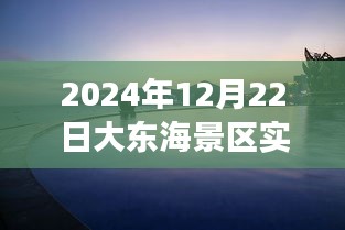 大東海景區(qū)之旅，探索自然美景，尋找內(nèi)心的寧靜與喜悅（實(shí)時報道）