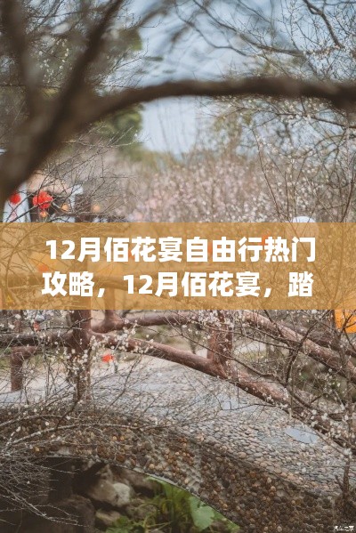 12月佰花宴踏雪尋梅之旅，熱門自由行攻略，赴一場心靈盛宴