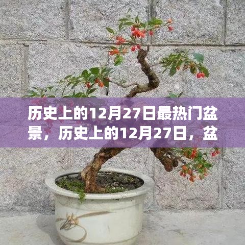 揭秘歷史上的盆景熱潮，探尋盆景背后的故事與種子力量，領(lǐng)略變化與自信的魅力