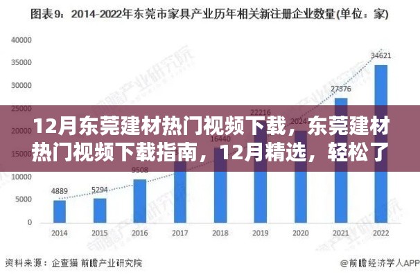 12月東莞建材熱門視頻下載指南，輕松掌握行業(yè)前沿動態(tài)