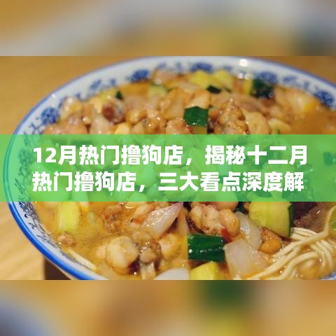 揭秘十二月熱門擼狗店深度解析三大看點(diǎn)