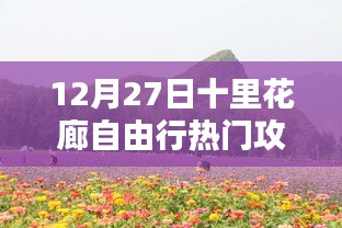 科技賦能生活，十里花廊智能自由行攻略（12月27日版）