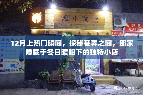 探秘冬日暖陽下的獨(dú)特小店，巷弄間的熱門瞬間