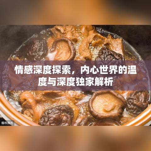 情感深度探索，內心世界的溫度與深度獨家解析