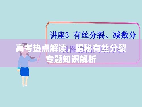 高考熱點解讀，揭秘有絲分裂專題知識解析