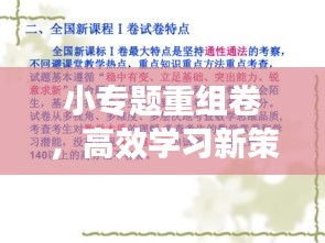 小專題重組卷，高效學(xué)習(xí)新策略助力提升學(xué)習(xí)效能