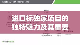 進口標獨家項目的獨特魅力及其重要性不容小覷