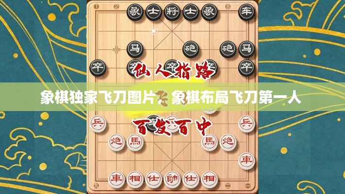 象棋獨(dú)家飛刀圖片，象棋布局飛刀第一人 