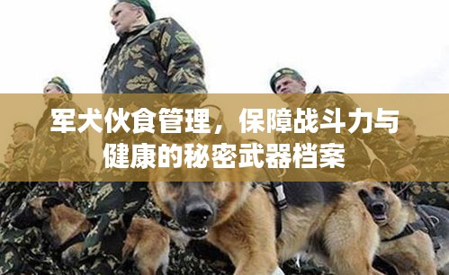 軍犬伙食管理，保障戰(zhàn)斗力與健康的秘密武器檔案