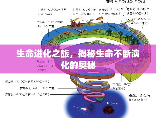 生命進(jìn)化之旅，揭秘生命不斷演化的奧秘